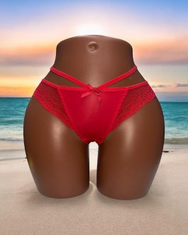 Slips dentelles invisible